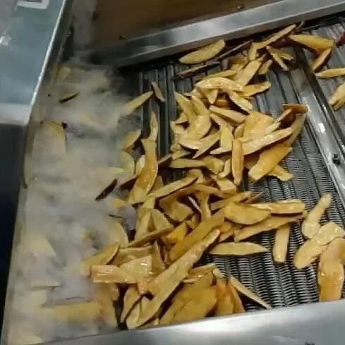 continuous fryer (3).jpg continuous fryer (3).jpg