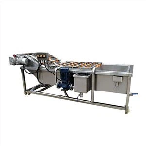 Strawberry Cleaning Machine