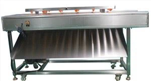 Brush Roller Washing Removal Machine